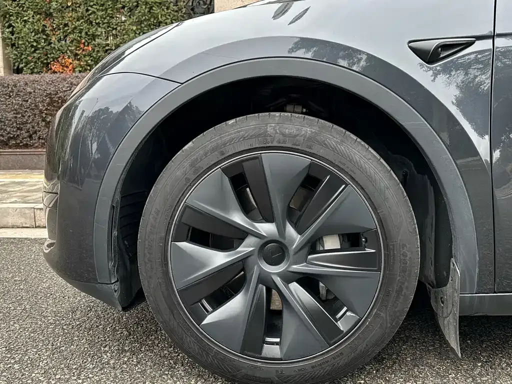 Tesla Model Y — фото 7