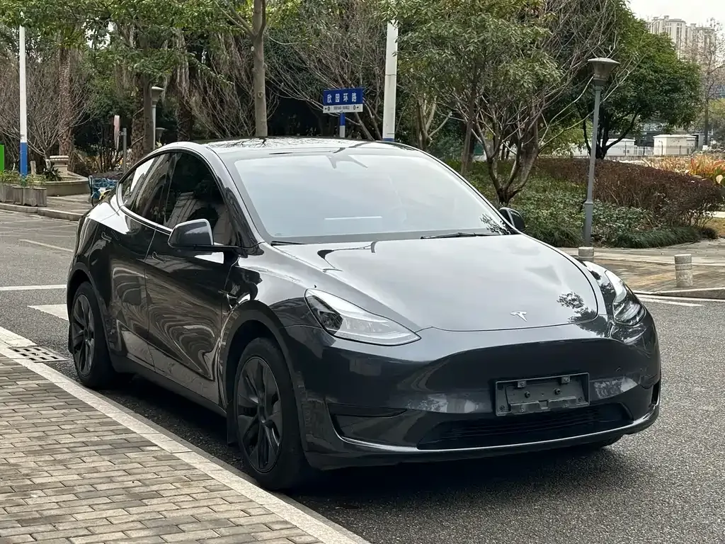 Tesla Model Y — фото 6
