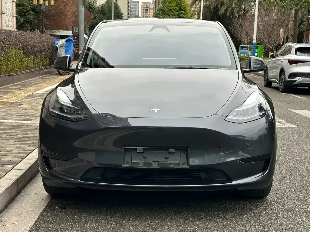 Tesla Model Y — фото 5