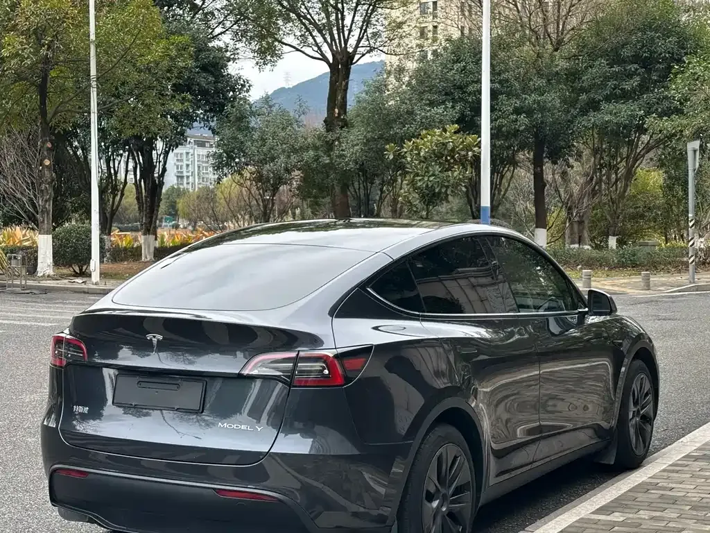Tesla Model Y — фото 9