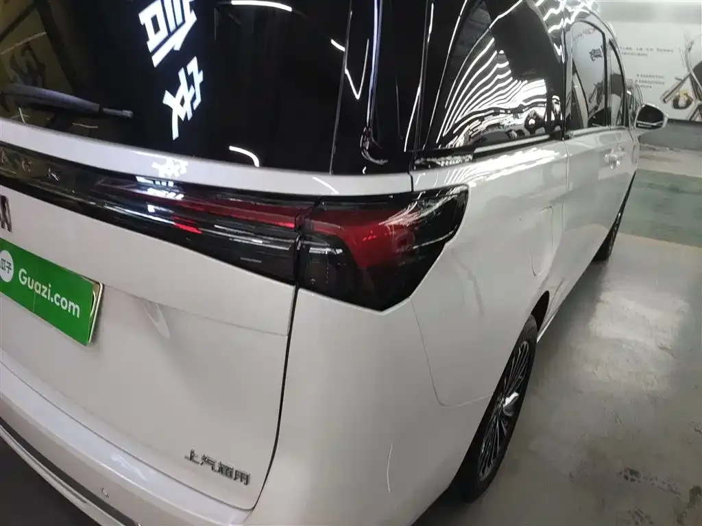 Buick GL8 Hybrid — фото 3