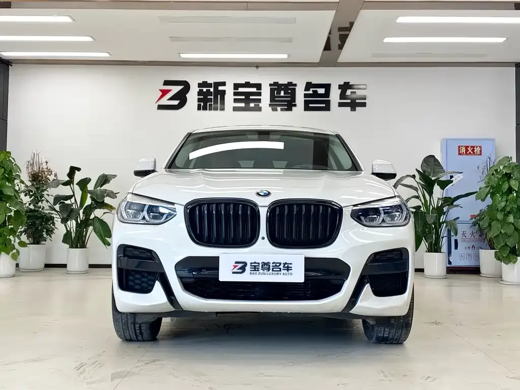 BMW X4 — фото 2