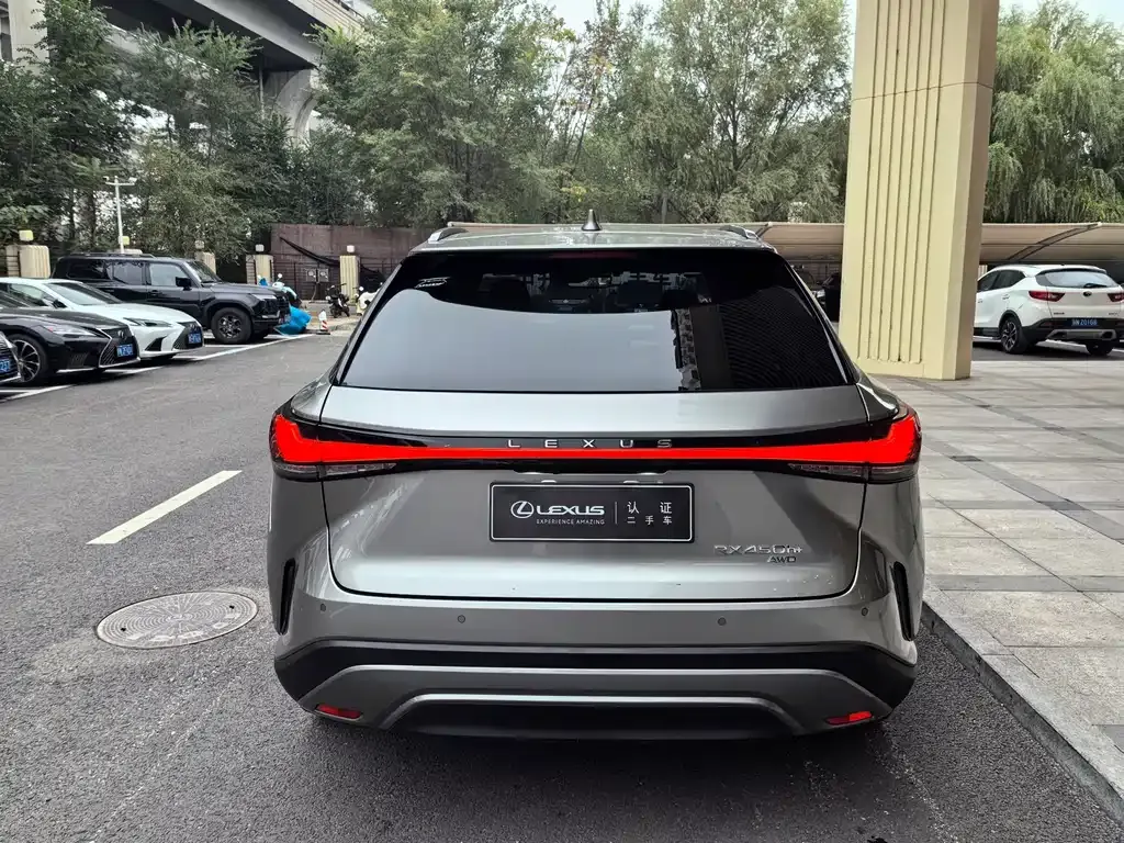 Lexus RX New Energy — фото 8