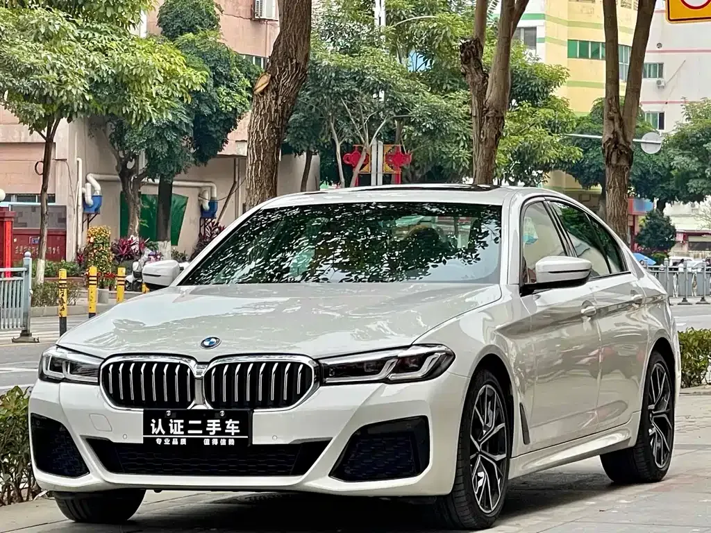 BMW 5 Series (Import) — фото 1