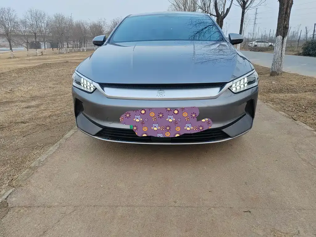 BYD Qin PLUS — фото 10