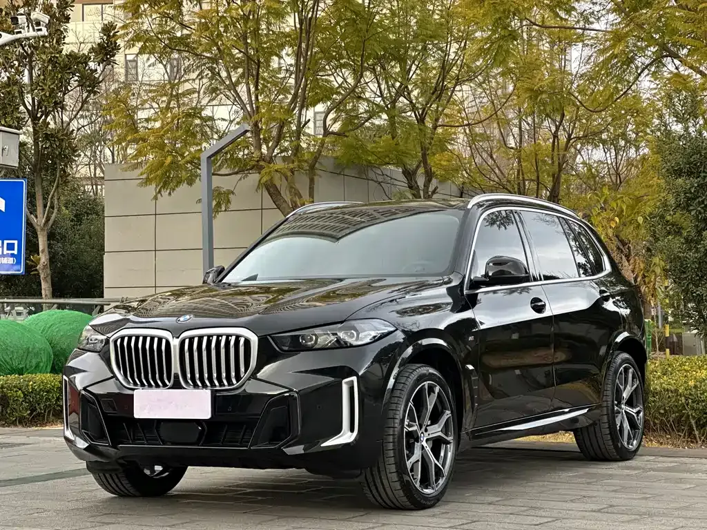 BMW X5 — фото 1