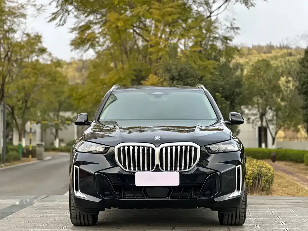 BMW X5 — фото 2