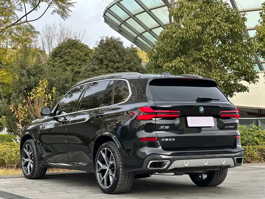 BMW X5 — фото 10
