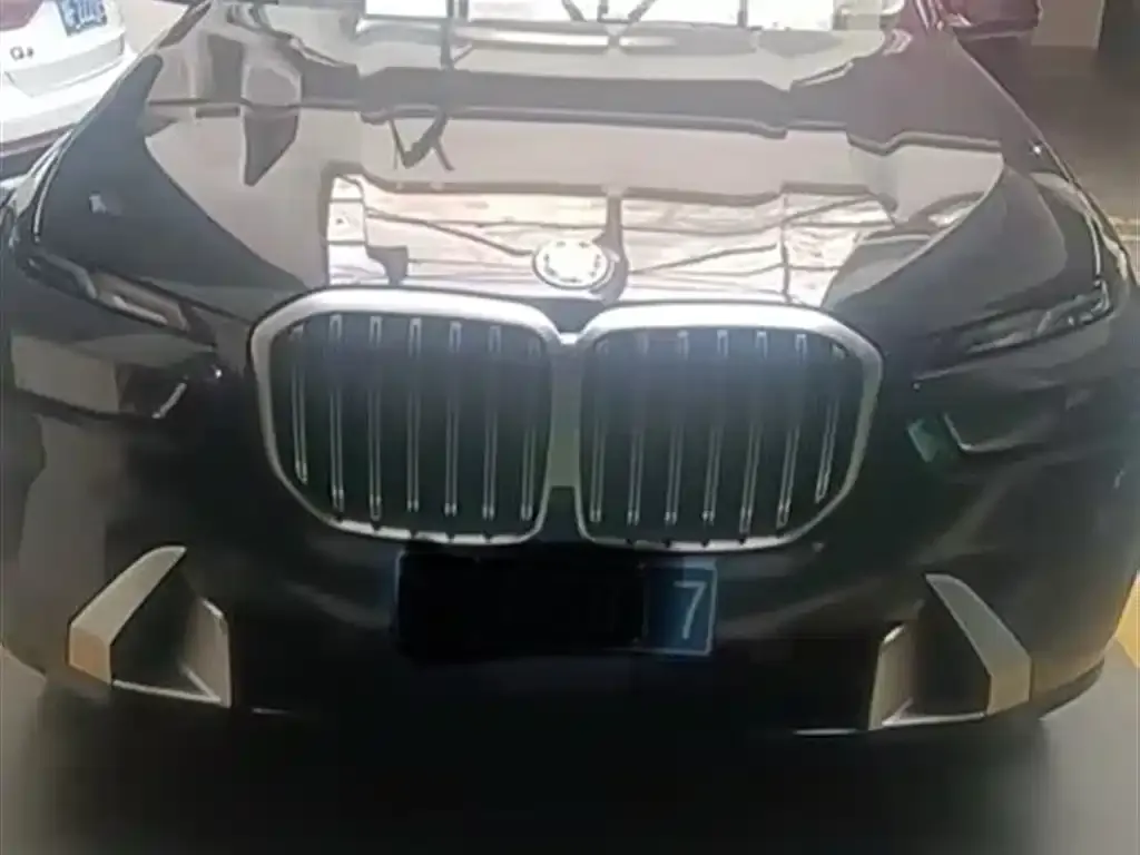 BMW X7 — фото 2