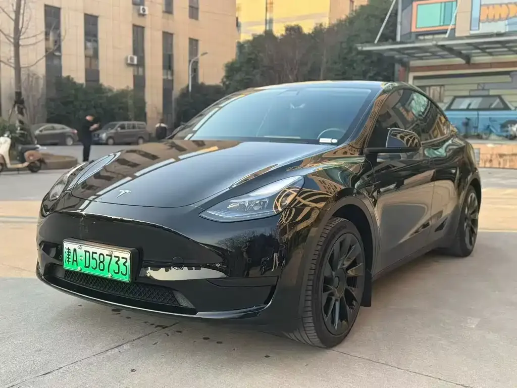 Tesla Model Y — фото 1