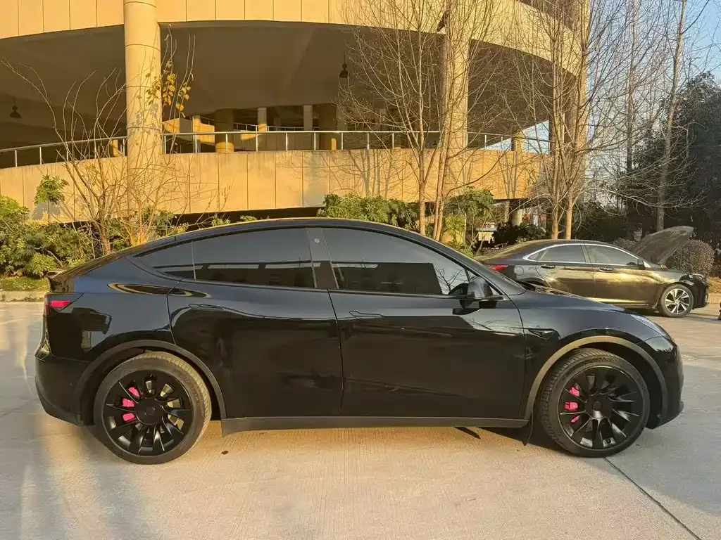 Tesla Model Y — фото 9