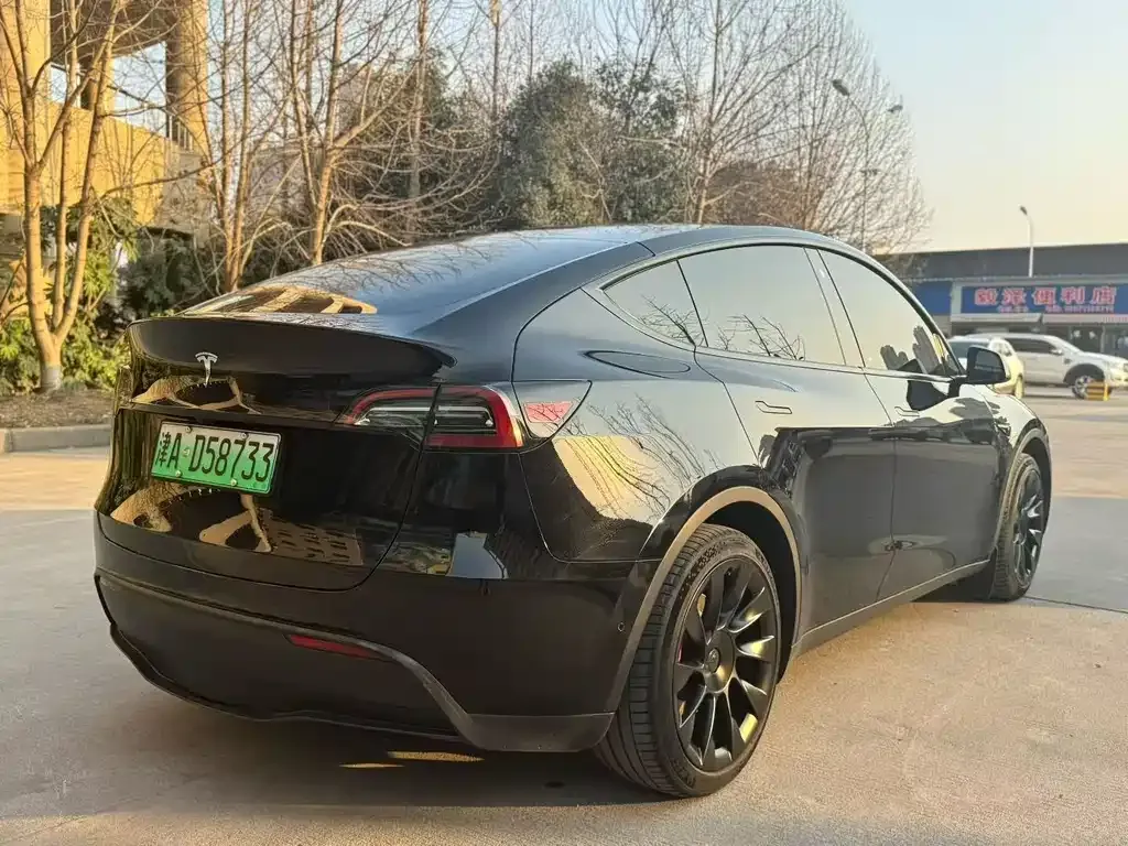 Tesla Model Y — фото 8