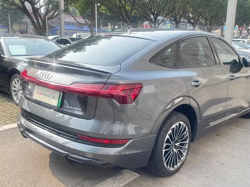 Audi e-tron (Import) — фото 6