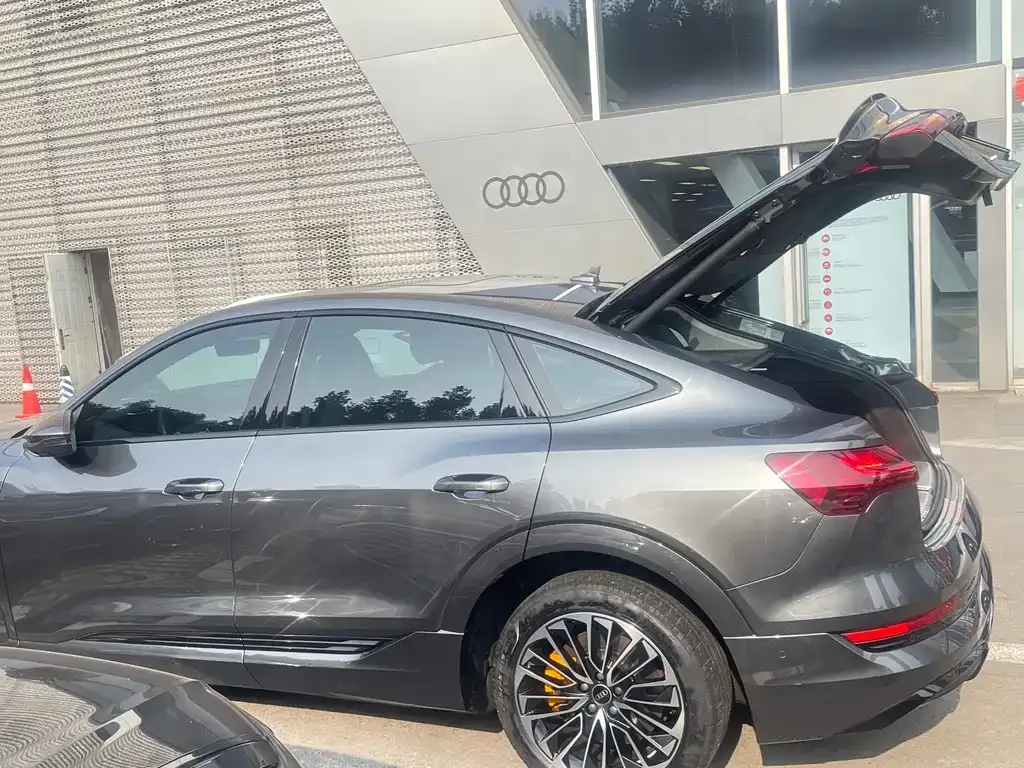 Audi e-tron (Import) — фото 4