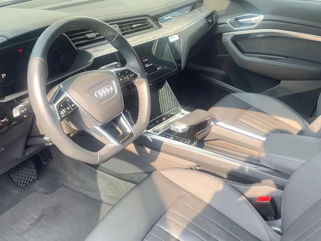 Audi e-tron (Import) — фото 8