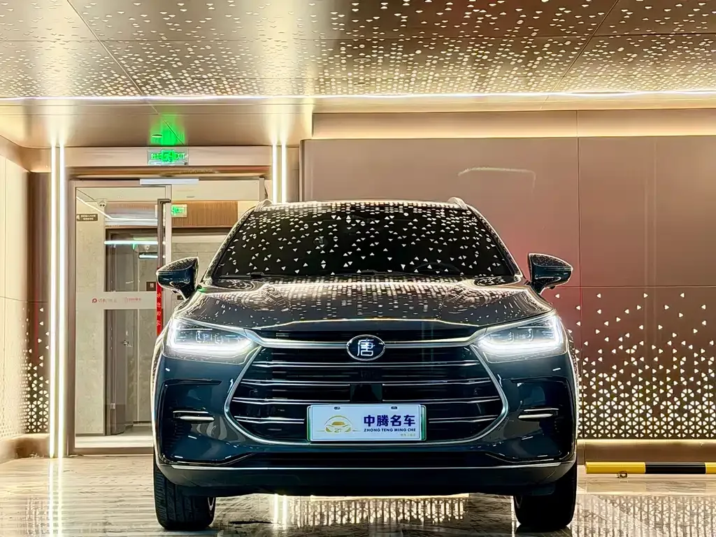 BYD Tang New Energy — фото 6