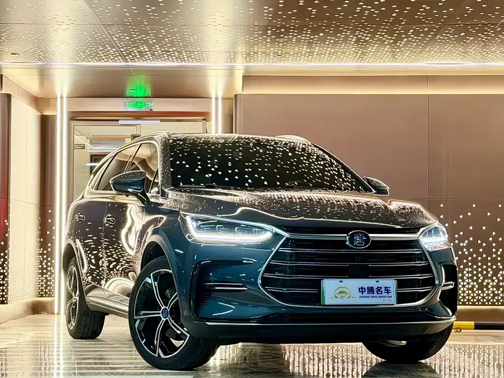 BYD Tang New Energy — фото 4