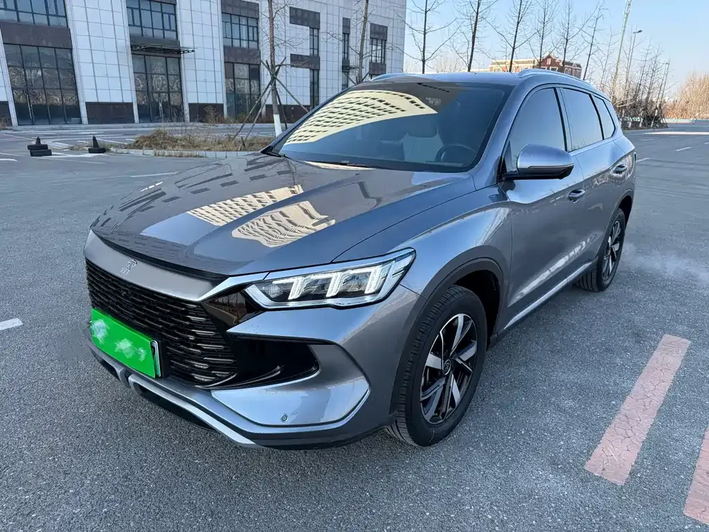 BYD Pro New Energy — фото 1