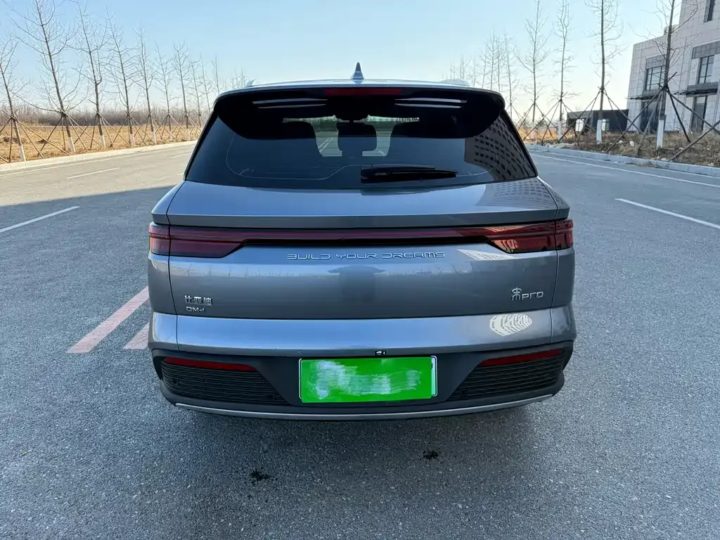 BYD Pro New Energy — фото 9