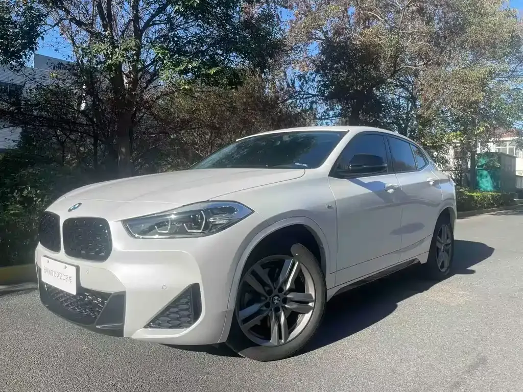 BMW X2 — фото 1