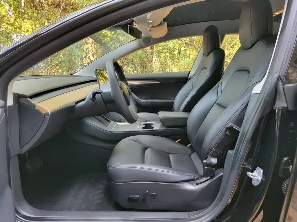Tesla Model 3 — фото 2