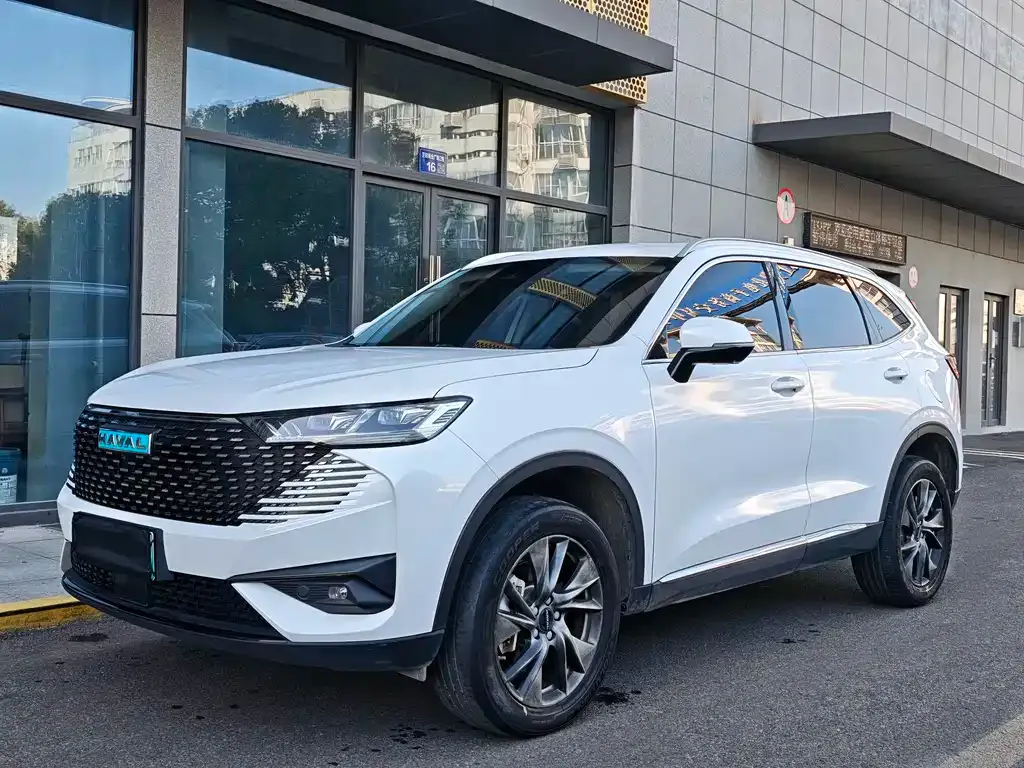 Haval H6 New Energy — фото 1