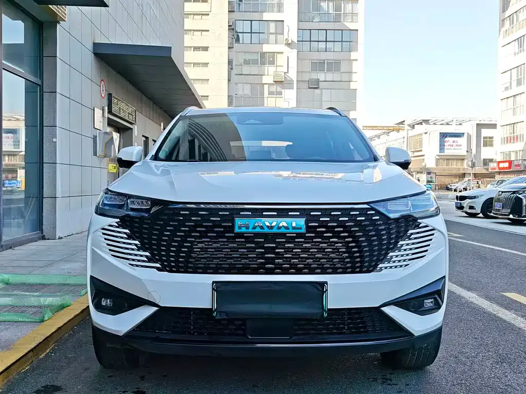 Haval H6 New Energy — фото 3