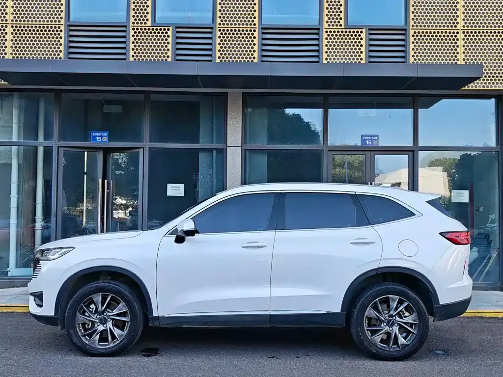 Haval H6 New Energy — фото 4