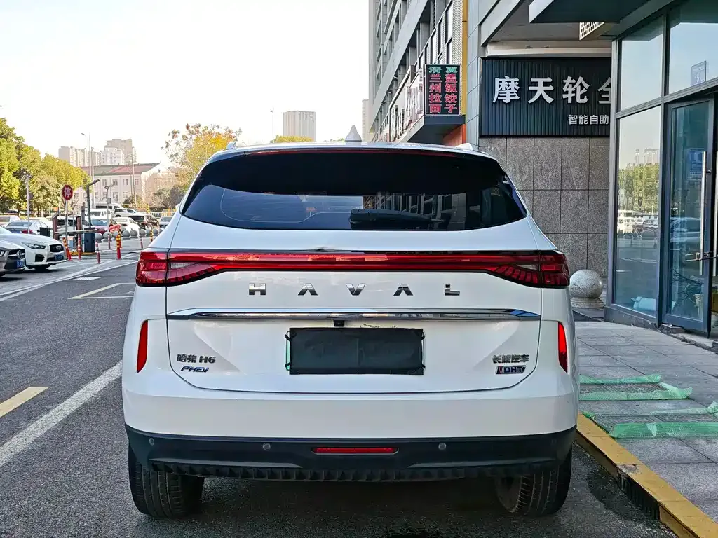 Haval H6 New Energy — фото 7