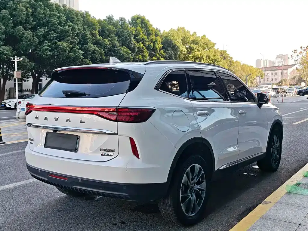 Haval H6 New Energy — фото 9