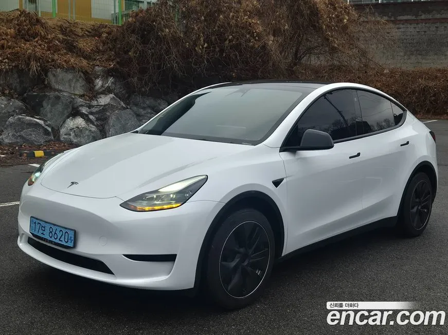 Tesla Model Y — фото 1