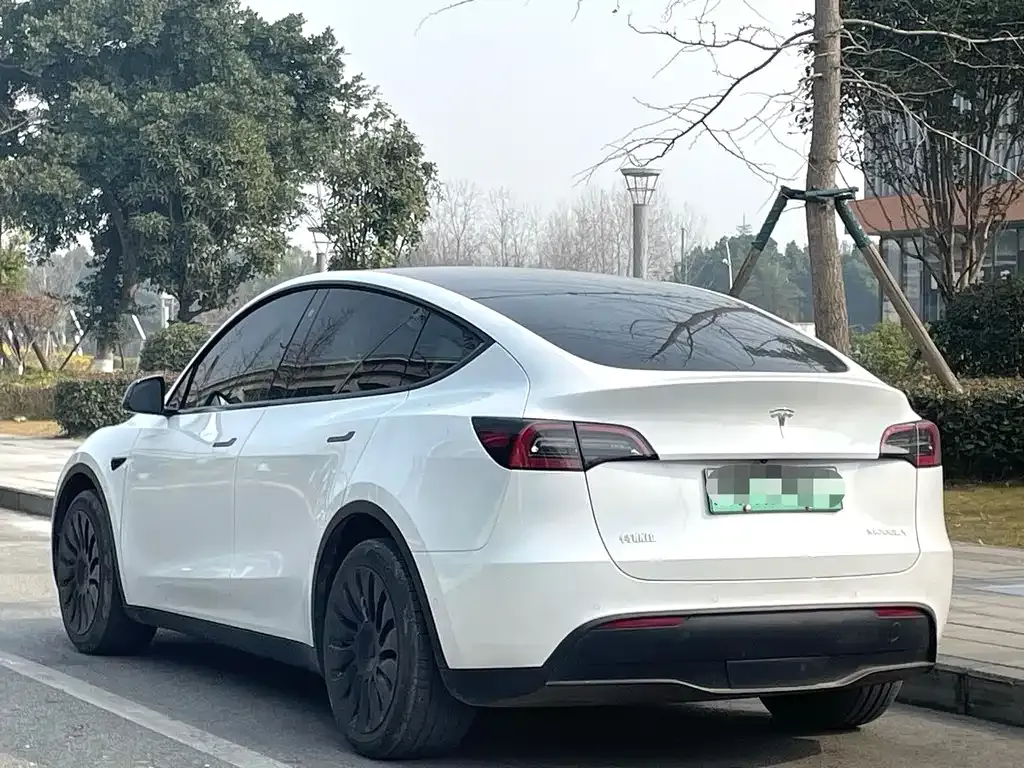 Tesla Model Y — фото 9