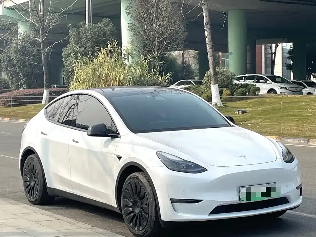 Tesla Model Y — фото 10