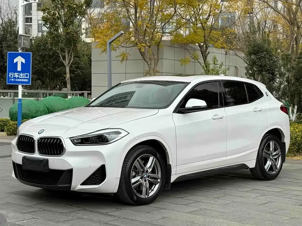 BMW X2 — фото 1