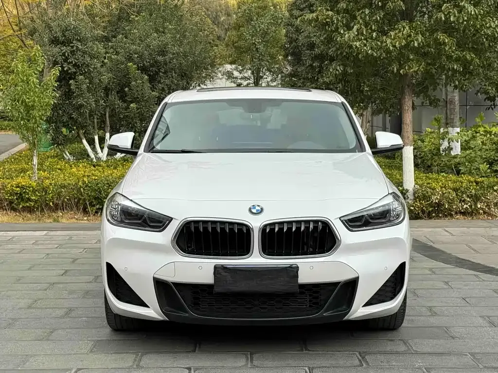 BMW X2 — фото 10