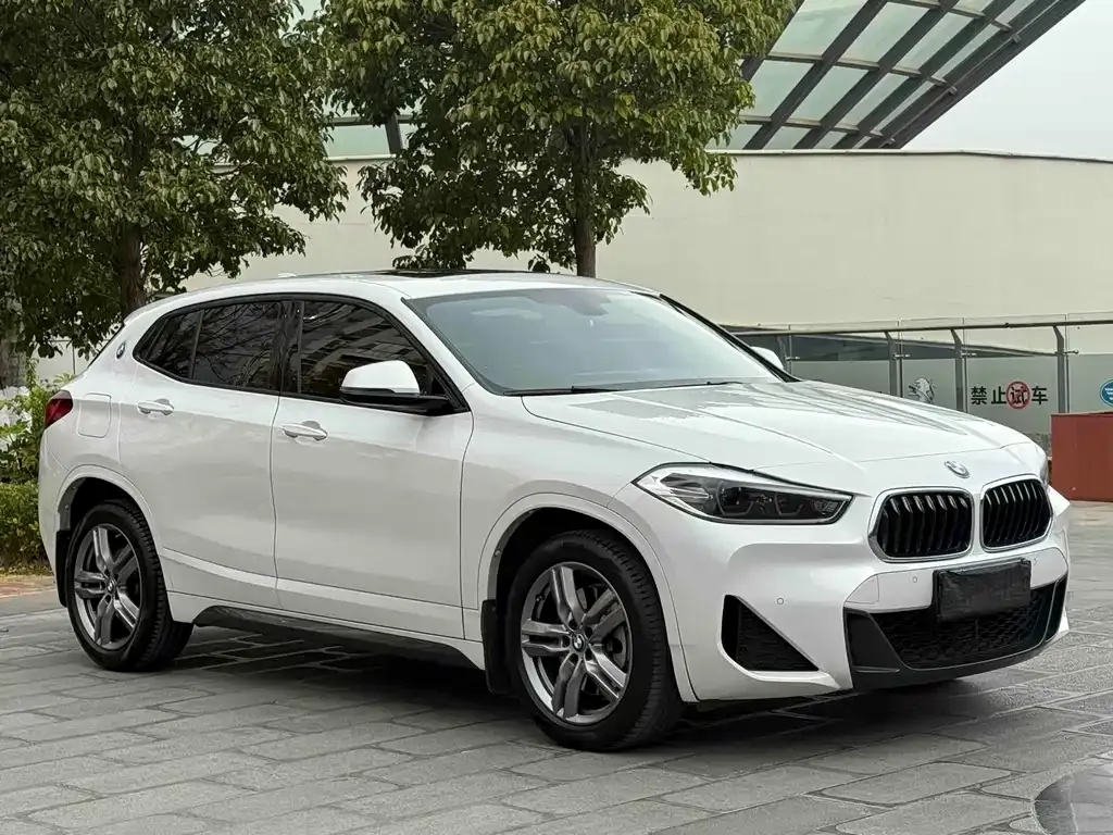 BMW X2 — фото 8