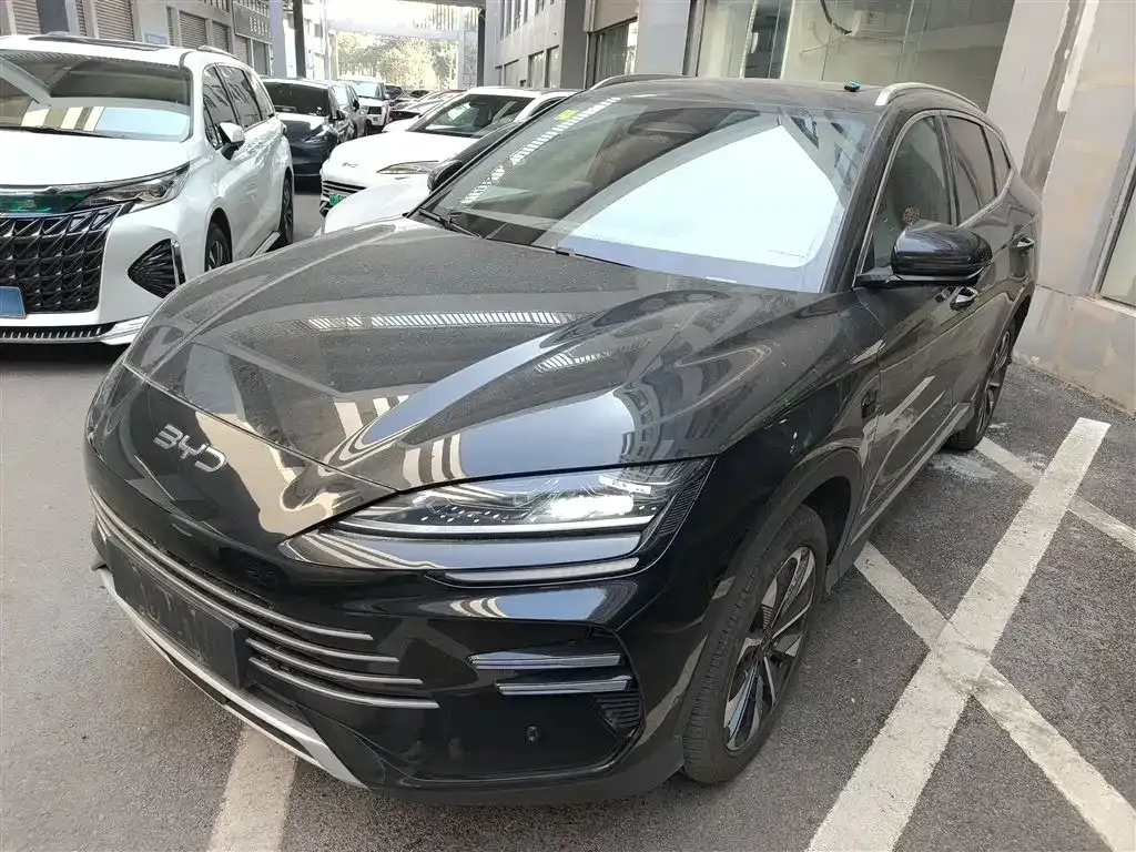 BYD PLUS New Energy — фото 1