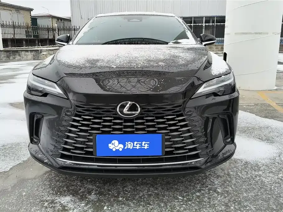 Lexus RX — фото 10