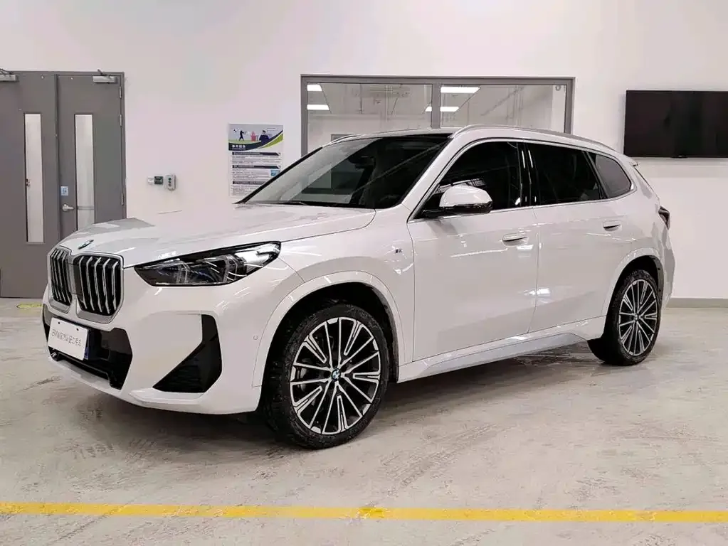 BMW X1 — фото 1
