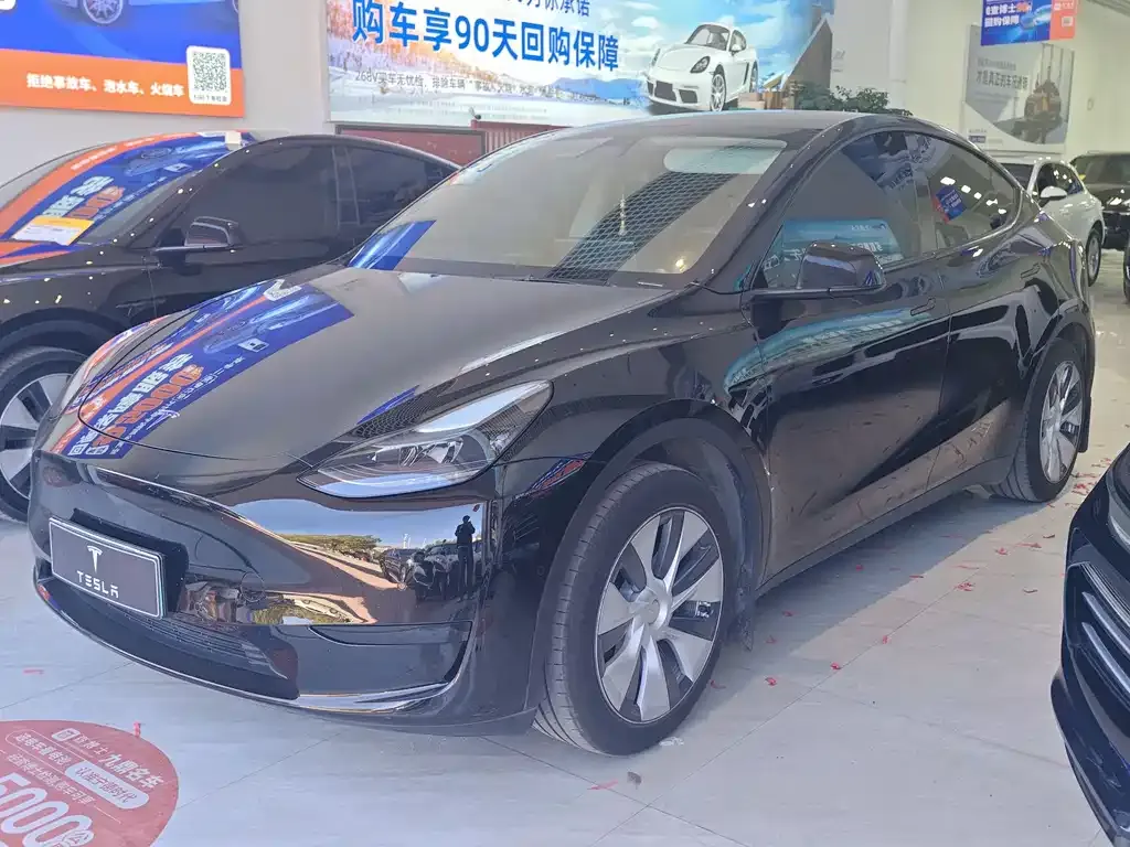 Tesla Model Y — фото 1