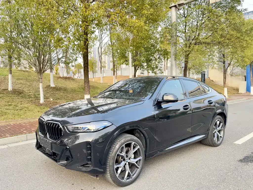 BMW X6 — фото 1