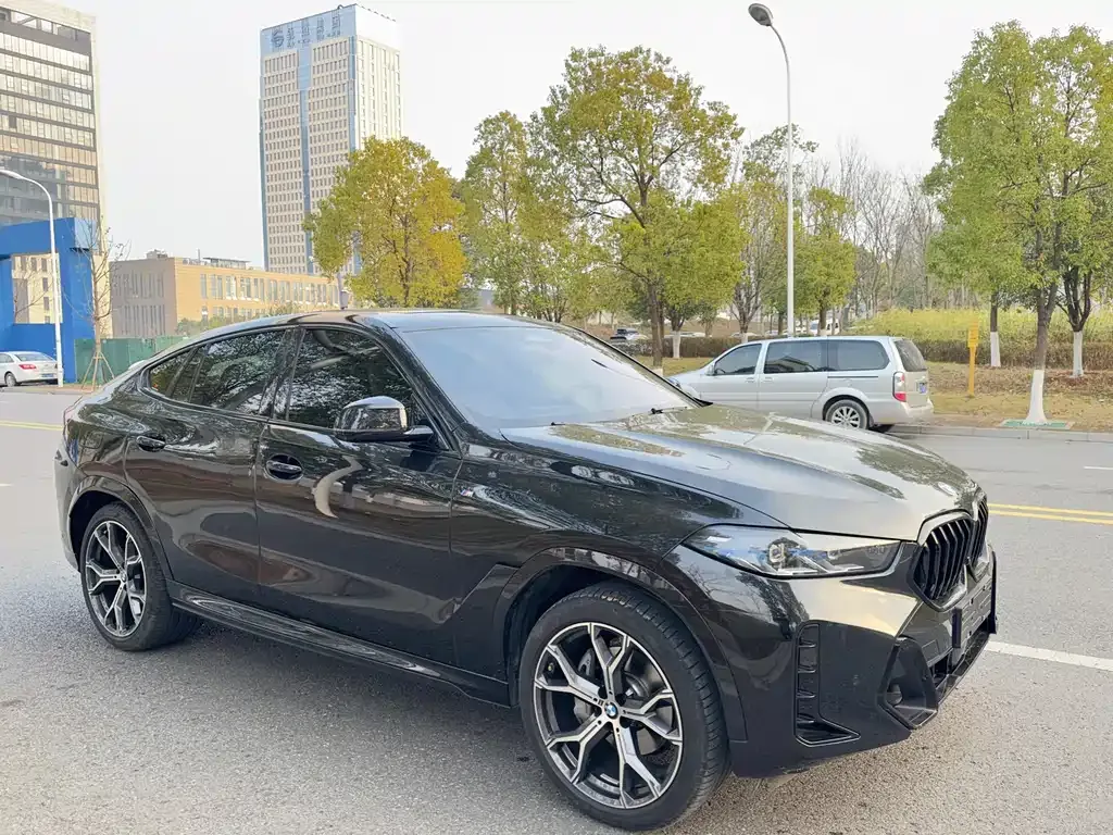 BMW X6 — фото 6