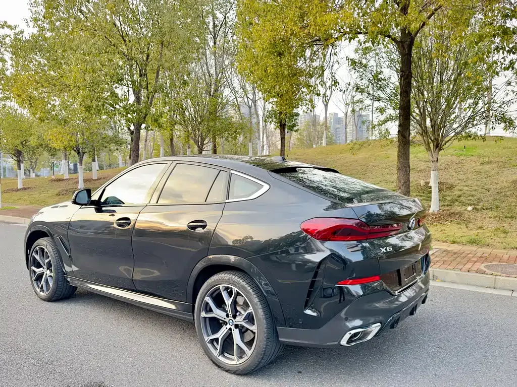 BMW X6 — фото 10