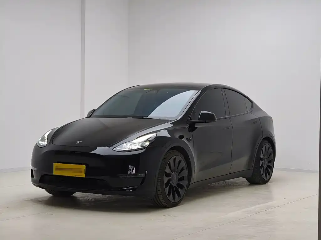 Tesla Model Y — фото 1