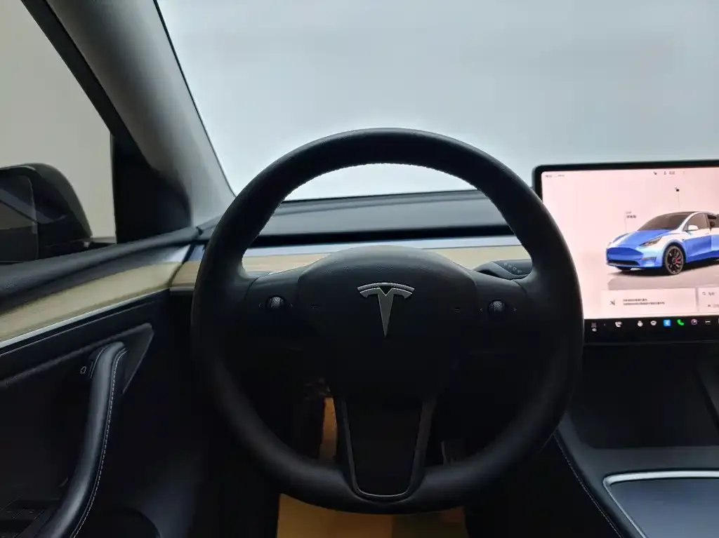 Tesla Model Y — фото 5