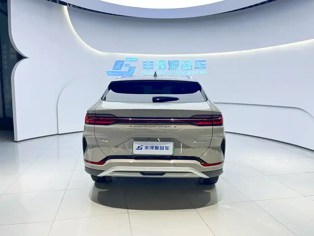 BYD PLUS New Energy — фото 2