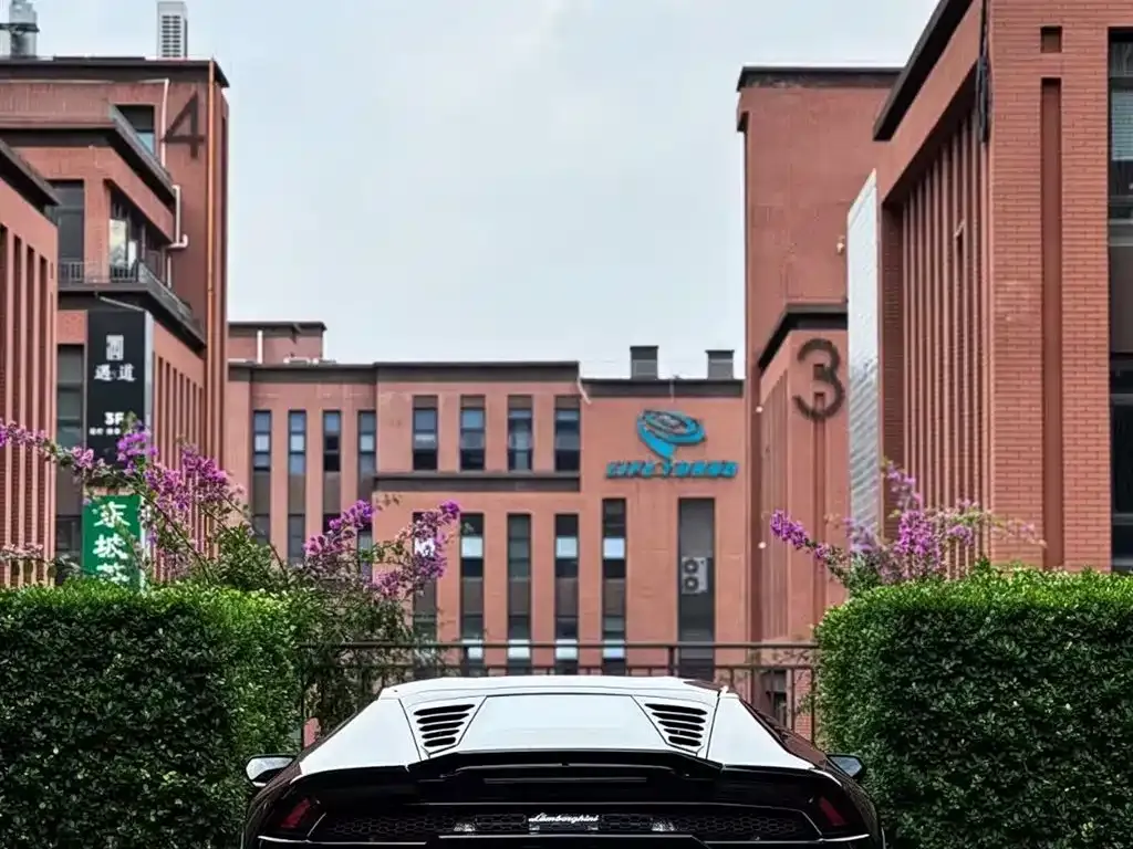 Lamborghini Huracan — фото 8