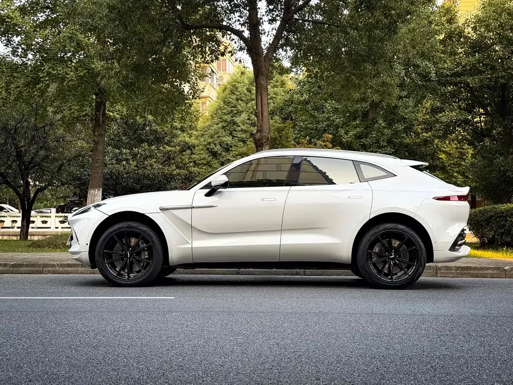 Aston Martin DBX — фото 10
