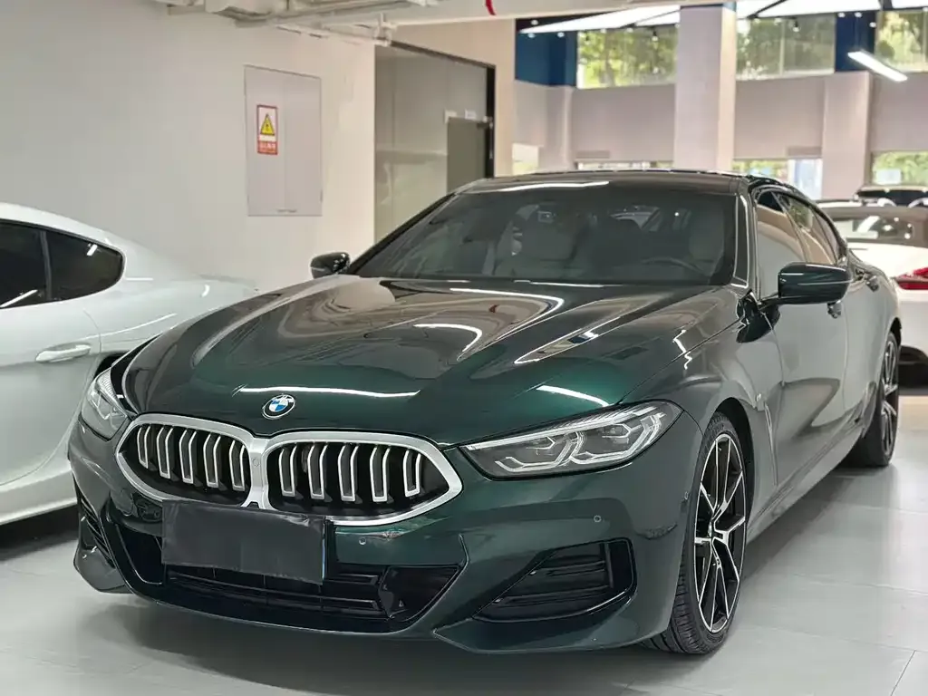 BMW 8 Series — фото 1