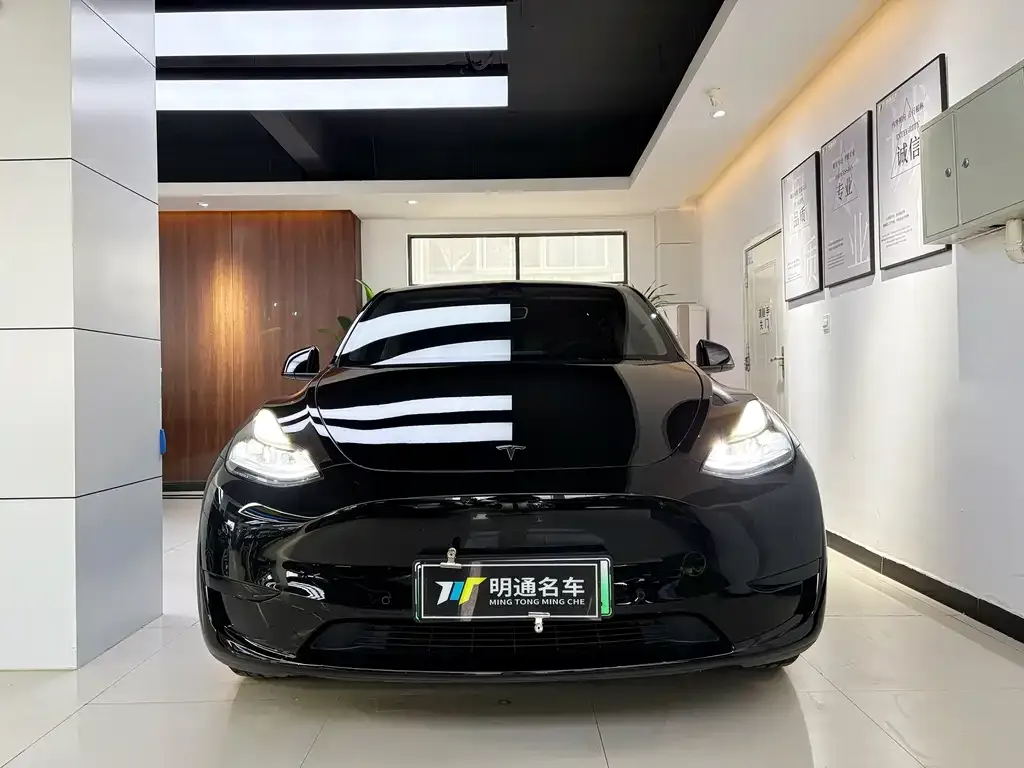 Tesla Model Y — фото 1